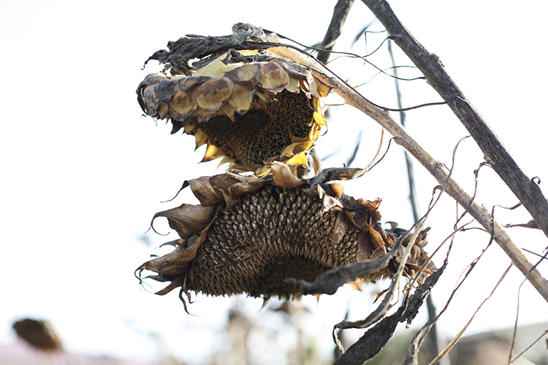 %_tempFileNameIMG_6048%