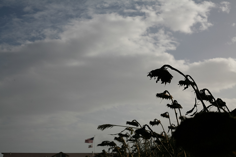 %_tempFileNameIMG_6051%