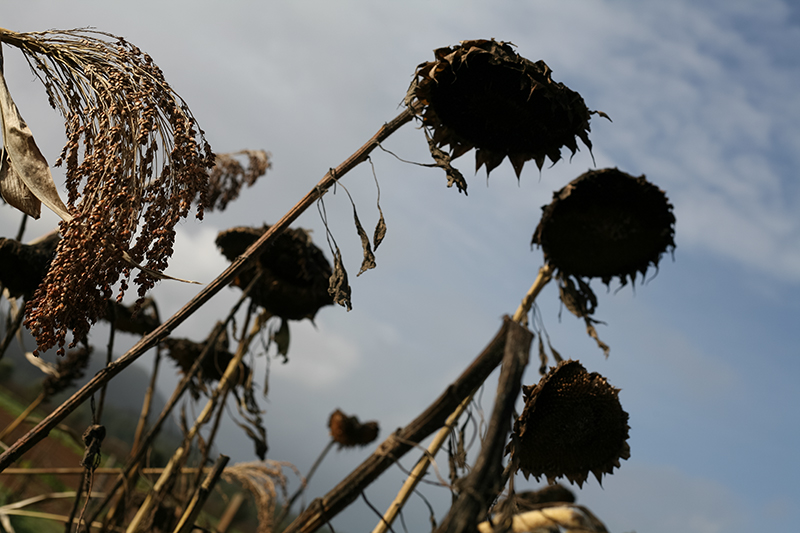 %_tempFileNameIMG_6053%