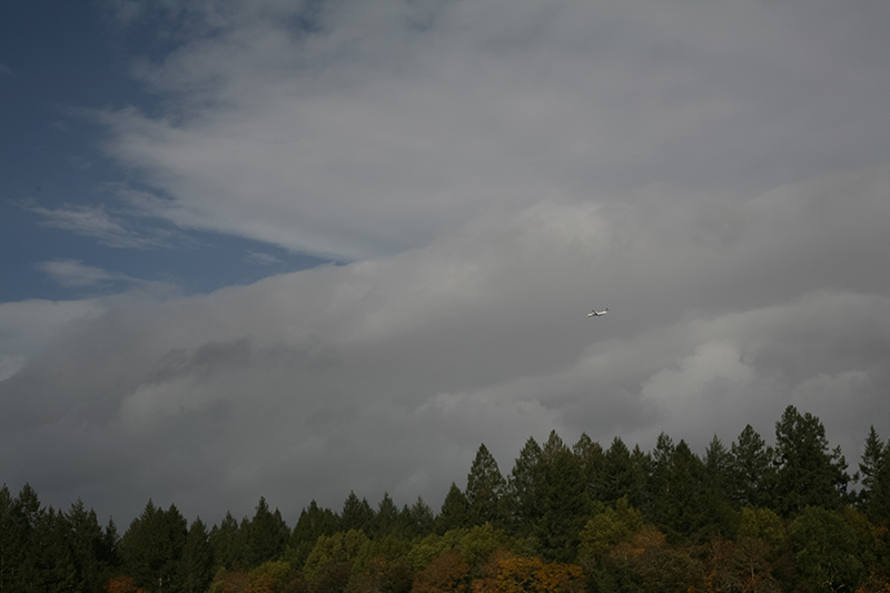 %_tempFileNameIMG_6059%