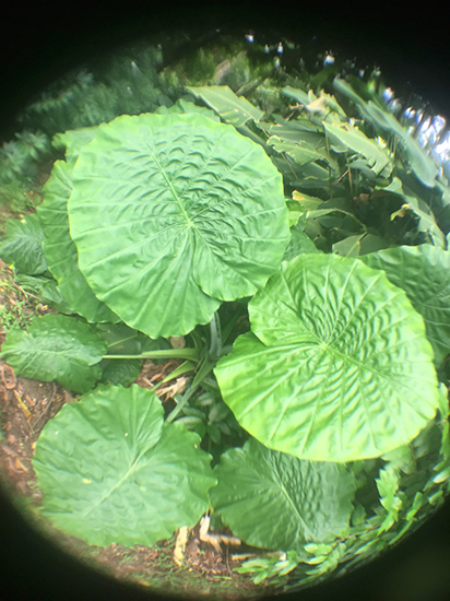%_tempFileNameIMG_9313%