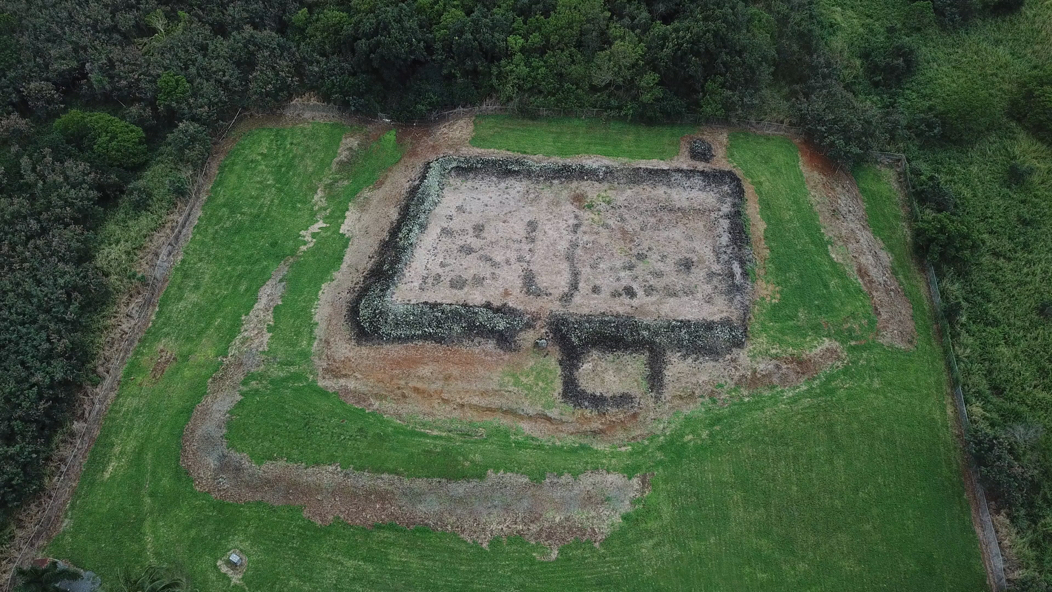 DJI Mavic Pro - 1st Gen. 