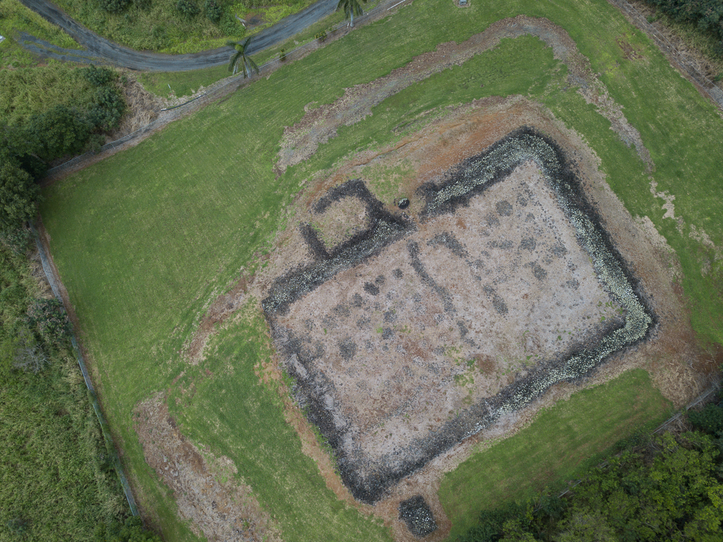 DJI Mavic Pro - 1st Gen. 