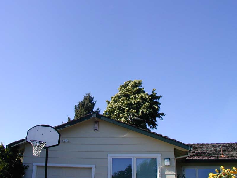 P8100011