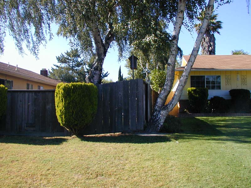 P8100015