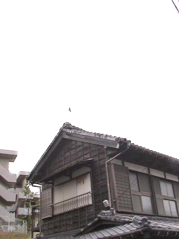 DSC00029