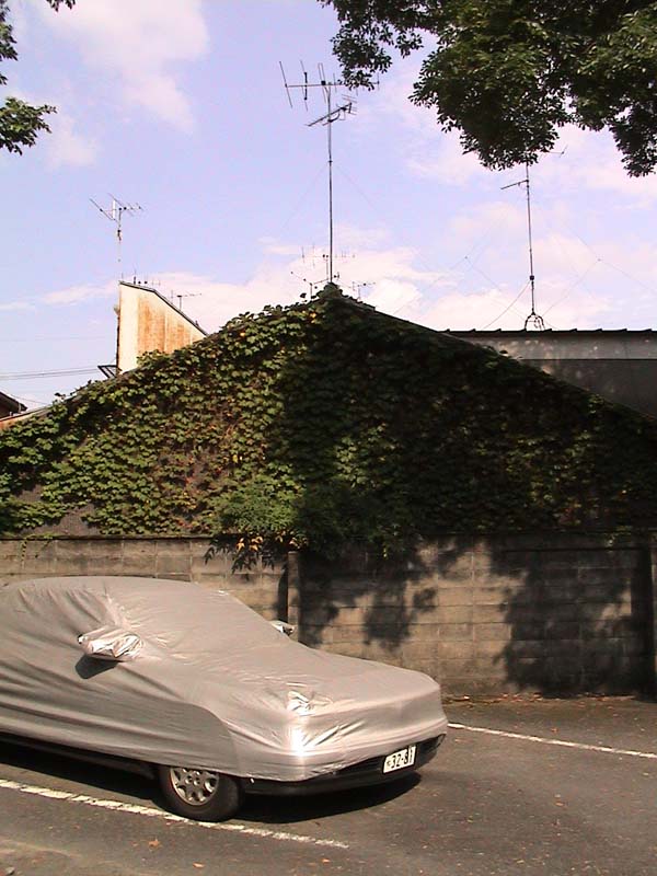 DSC00049