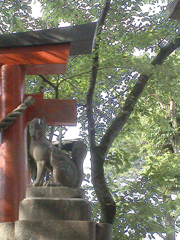 DSC00068