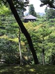 DSC00096