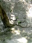 DSC00116