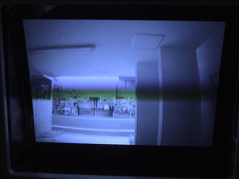 DSC00003