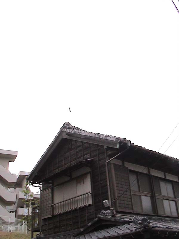 DSC00029