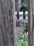 DSC00050