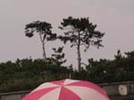 DSC00091