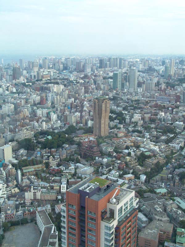 DSC02387