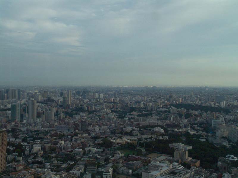 DSC02389