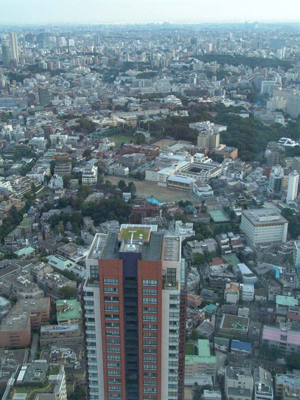 DSC02390