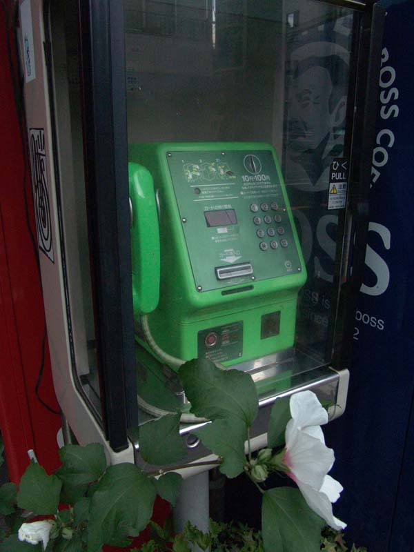 DSC02424