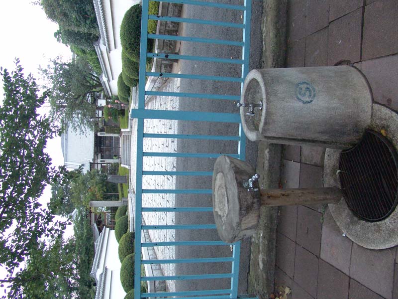 DSC02451