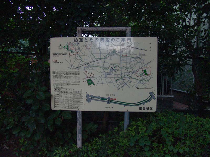 DSC02453
