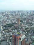 DSC02387
