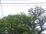 DSC02406