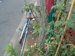 DSC02430