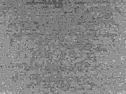 DSC00038