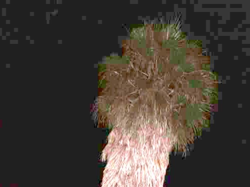 DSC00047