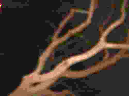 DSC00056
