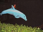 dolphine