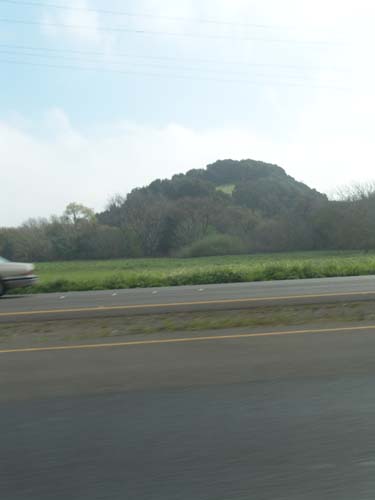 DSC01244