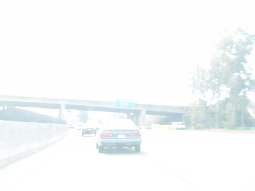 DSC01277