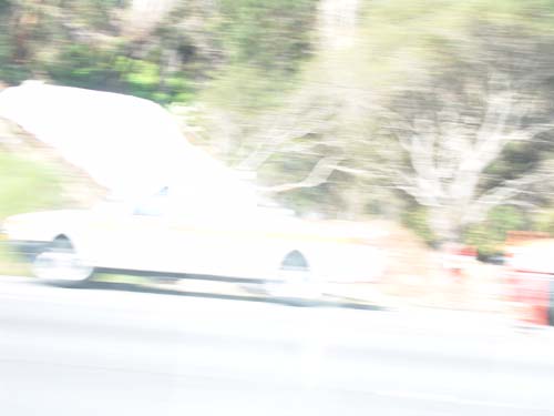 DSC01290