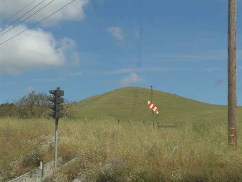 DSC01541