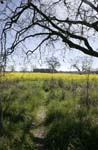 _MG_7608.Rev1