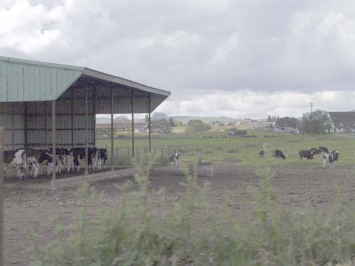 DSC01549