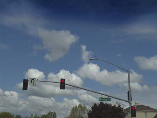 DSC01595