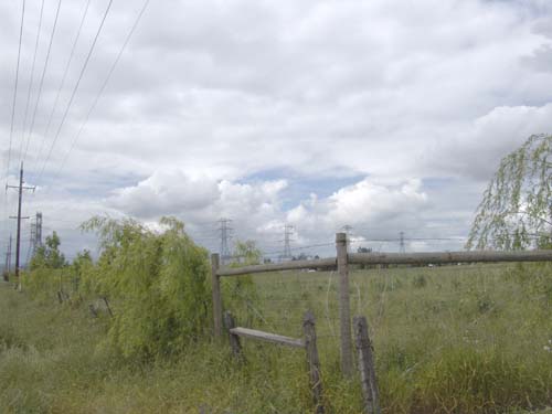 DSC01618