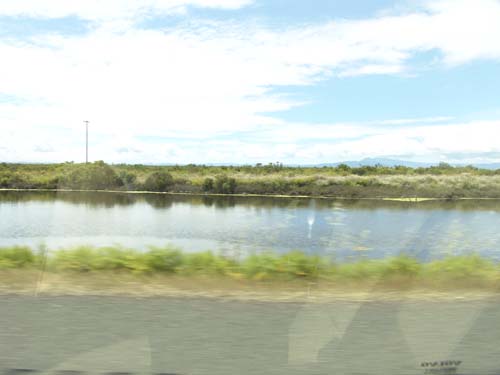 DSC01636