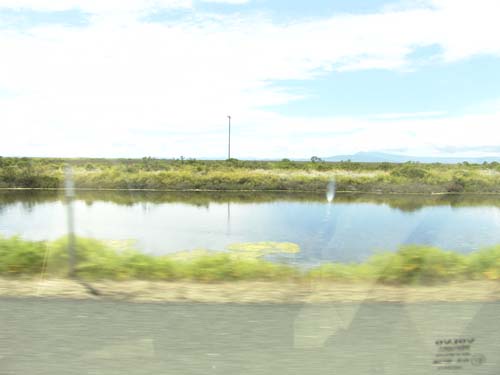 DSC01638