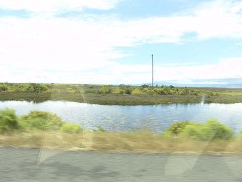 DSC01640