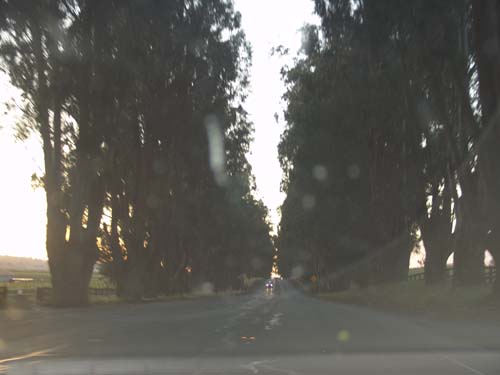 DSC01679
