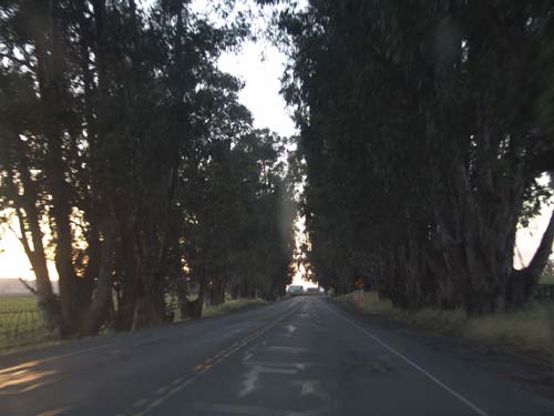 DSC01680