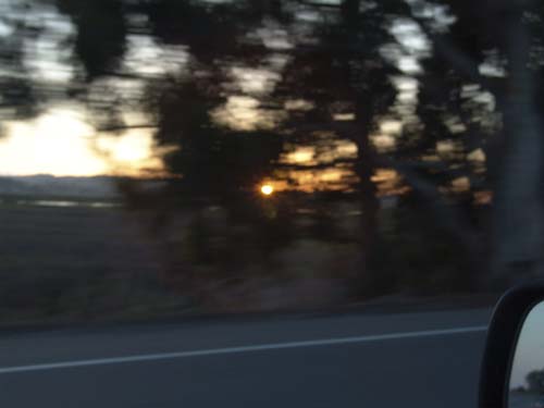 DSC01681