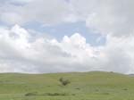 DSC01600