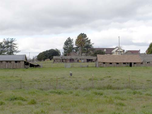 DSC00906