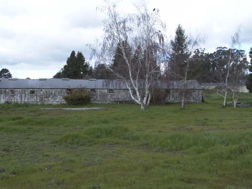 DSC00907