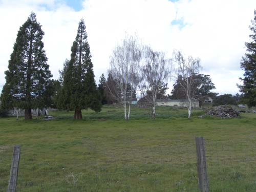 DSC00908