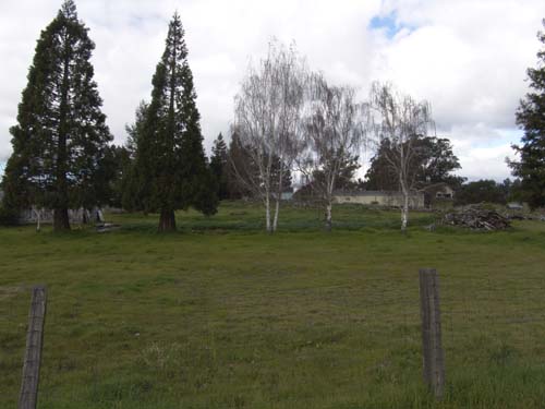 DSC00909